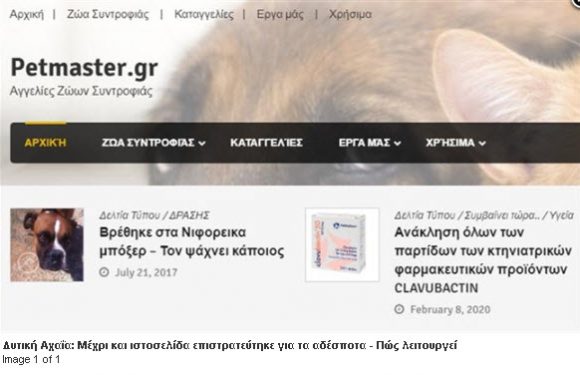 Δυτική Αχαΐα: Μέχρι και ιστοσελίδα επιστρατεύτηκε για τα αδέσποτα – Πώς λειτουργεί